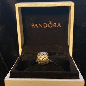 Pandora heart charm